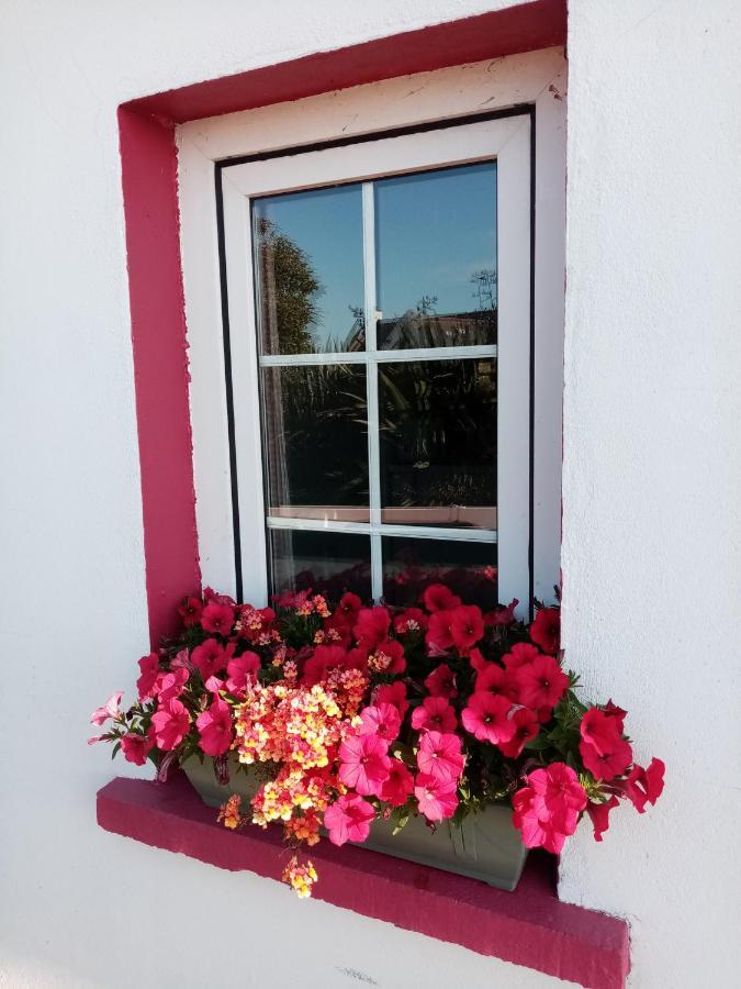 B&B The Red Door Cottage Donegal Town Exterior foto
