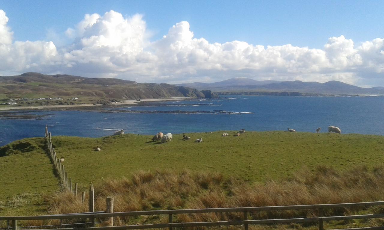 B&B The Red Door Cottage Donegal Town Exterior foto